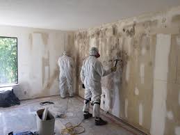 Asbestos and Lead Testing During Mold Inspection in Mineral Springs, NC